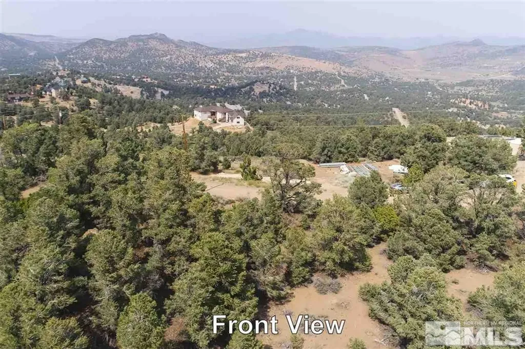 21455 Saddleback Virginia City NV 89521