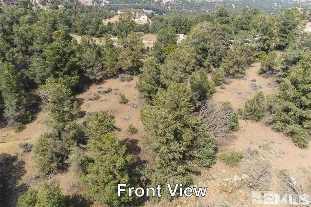 21455 Saddleback Virginia City NV 89521
