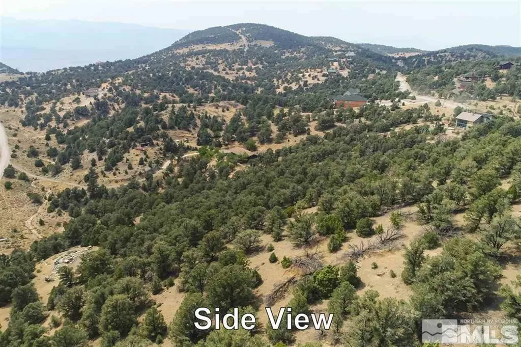 21455 Saddleback Virginia City NV 89521