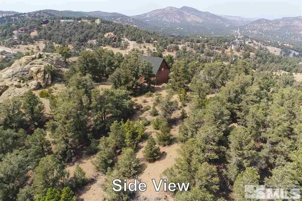 21455 Saddleback Virginia City NV 89521