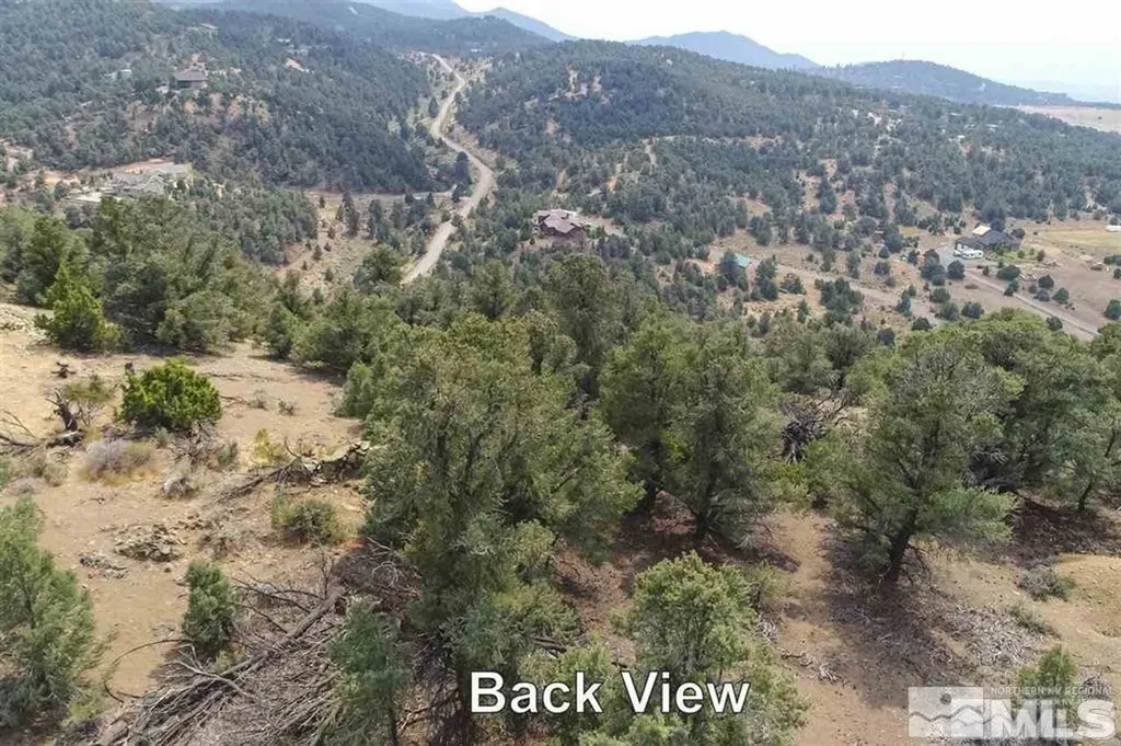 21455 Saddleback Virginia City NV 89521