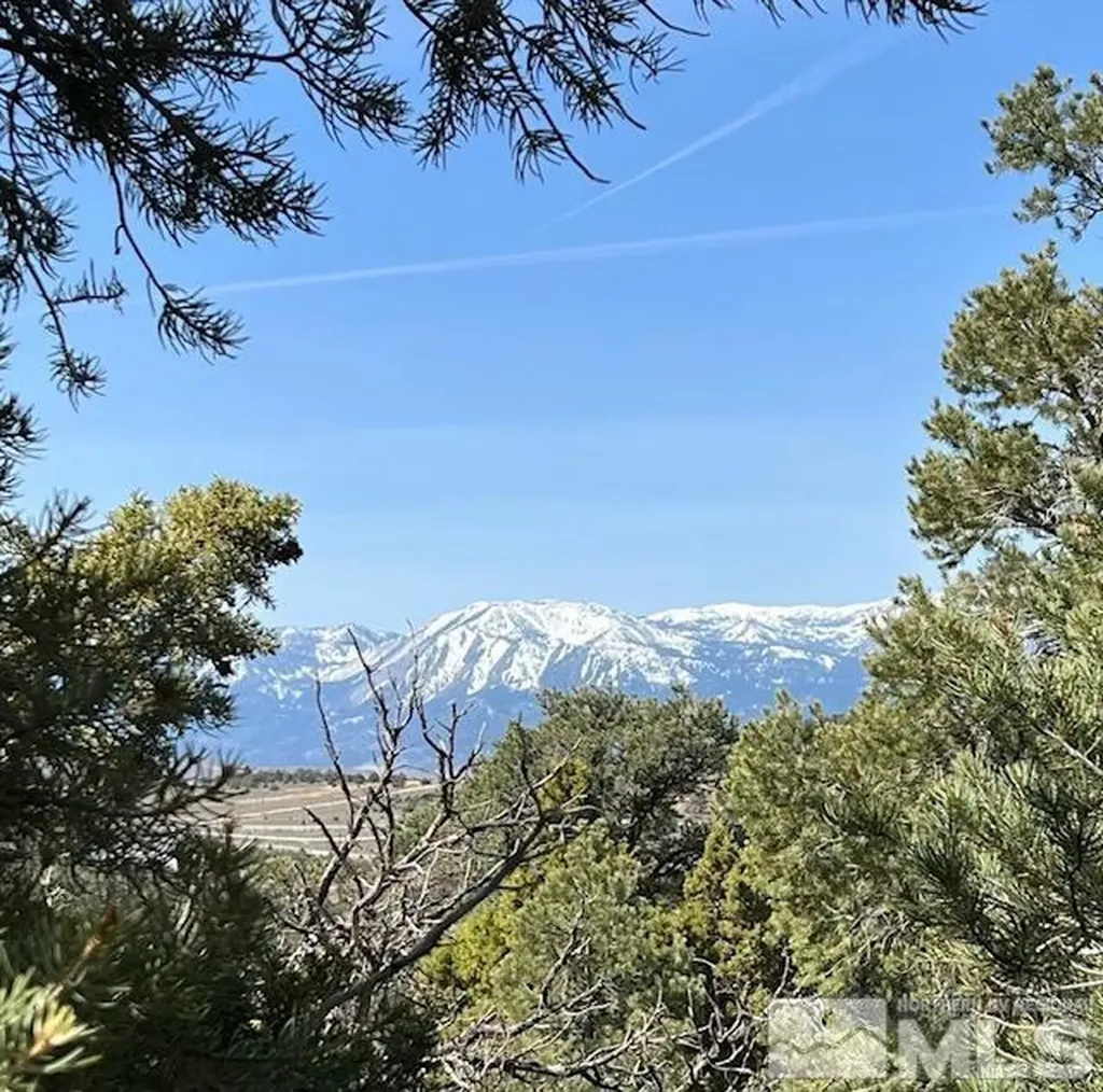 21455 Saddleback Virginia City NV 89521
