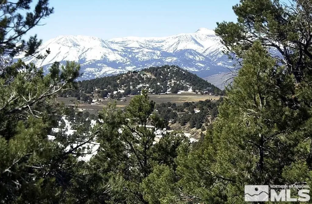 21455 Saddleback Virginia City NV 89521