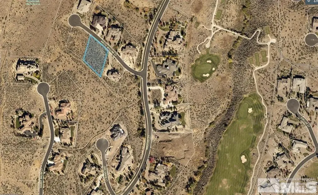 6705 Arctic Willow Reno NV 89511