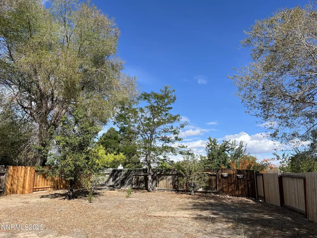 11019 Bornite Reno NV 89506