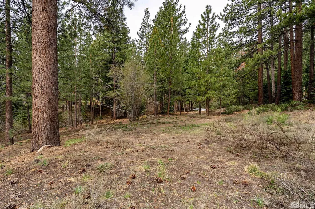 585 Village Incline Village NV 89451