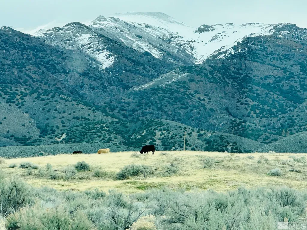 22025 Fall River Lovelock NV 89419