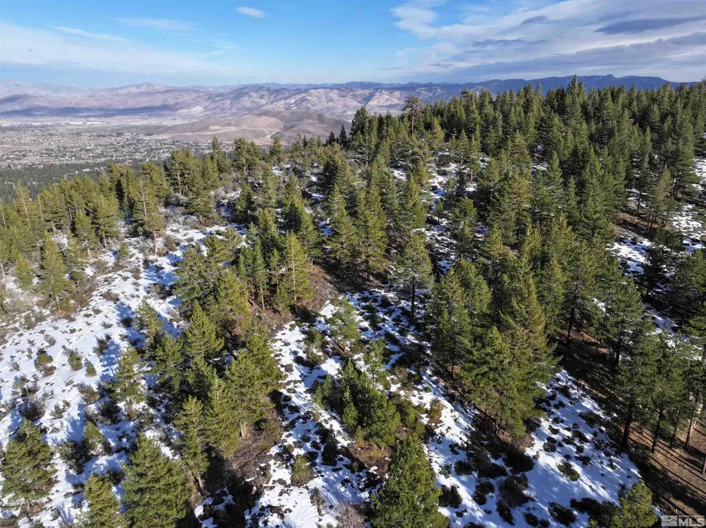 123 Mountain Haven Reno NV 89511