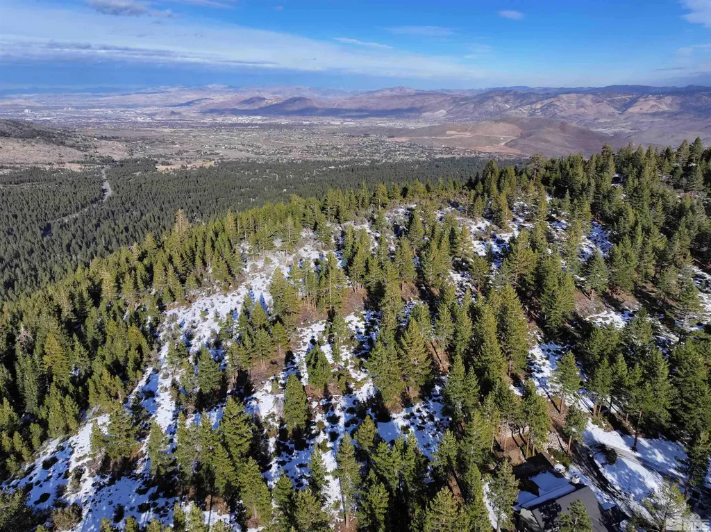123 Mountain Haven Reno NV 89511