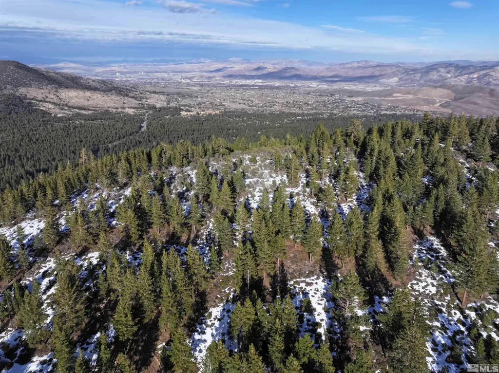123 Mountain Haven Reno NV 89511