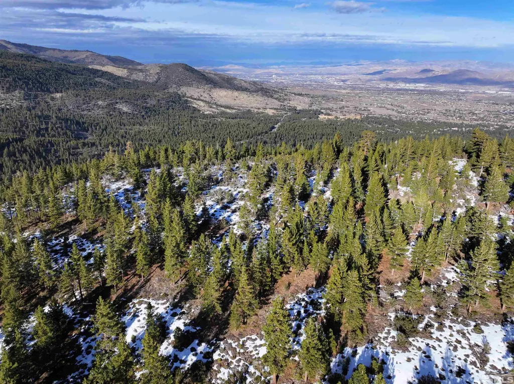 123 Mountain Haven Reno NV 89511