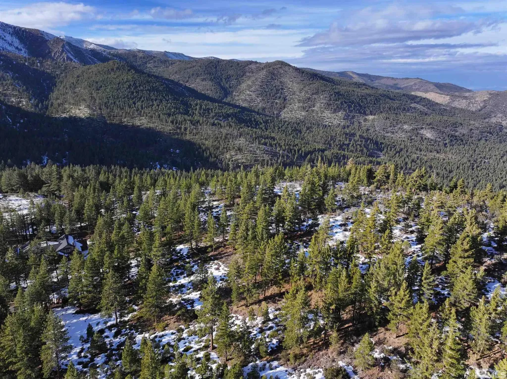 123 Mountain Haven Reno NV 89511