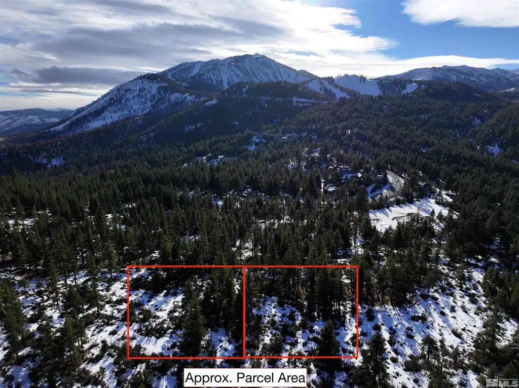 123 Mountain Haven Reno NV 89511