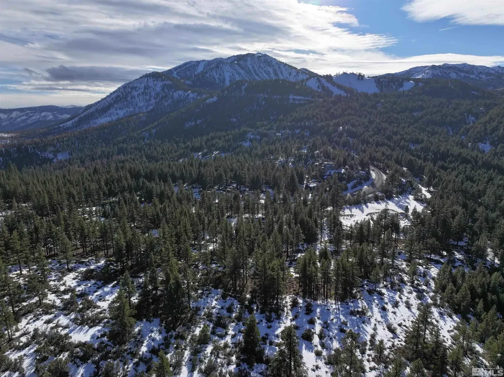 123 Mountain Haven Reno NV 89511