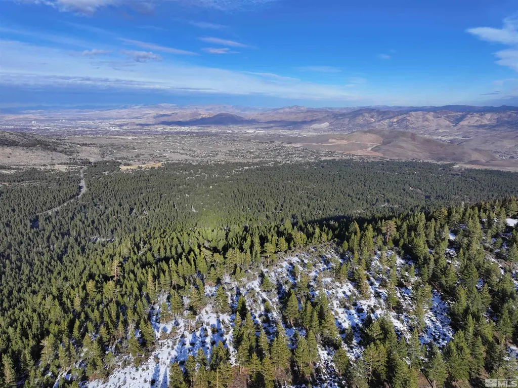 123 Mountain Haven Reno NV 89511