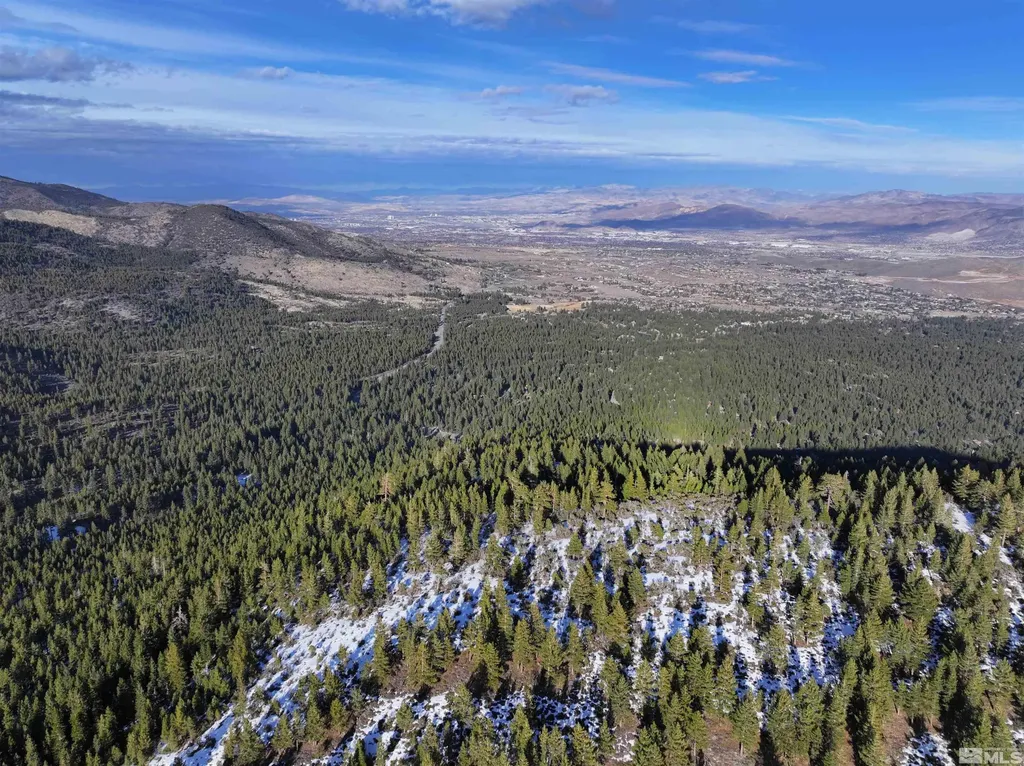 123 Mountain Haven Reno NV 89511