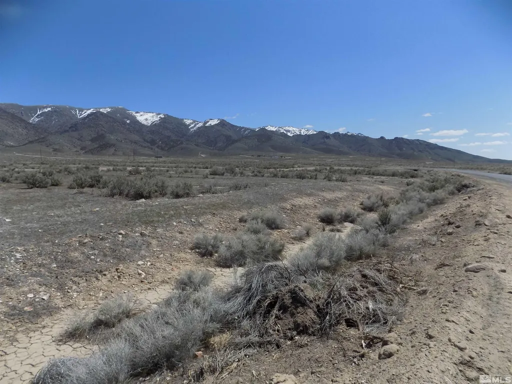 22125 Victory Lovelock NV 89419