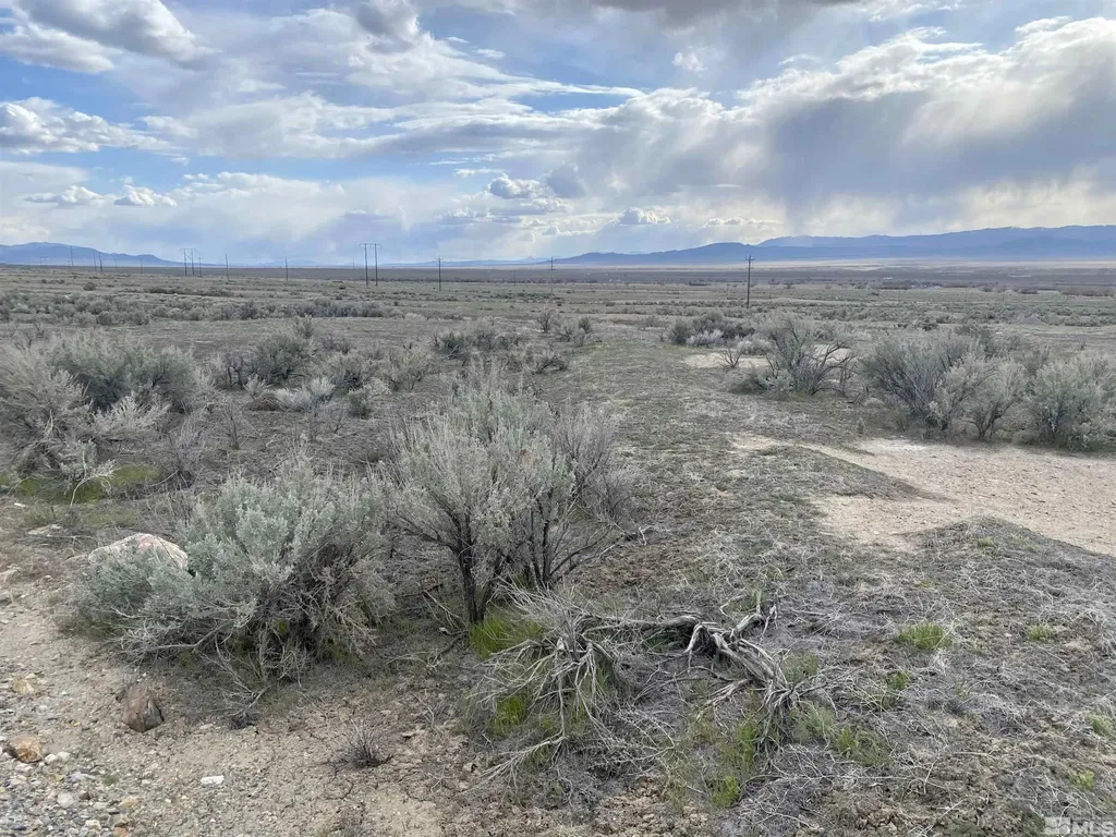 22125 Victory Lovelock NV 89419
