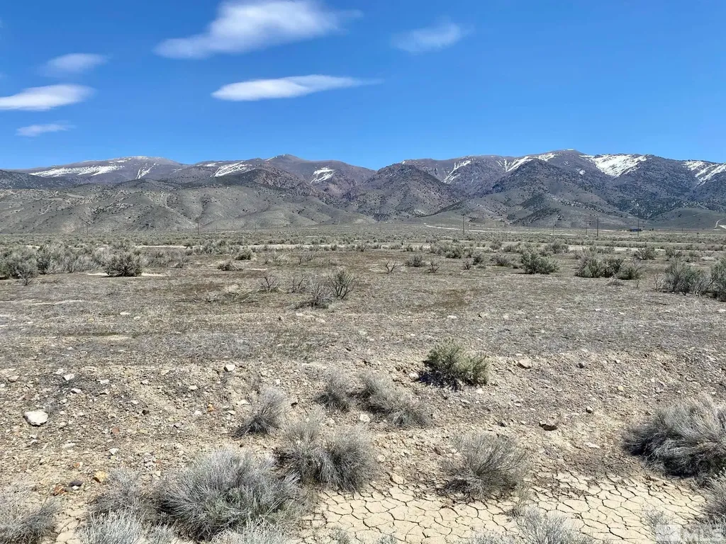 22125 Victory Lovelock NV 89419