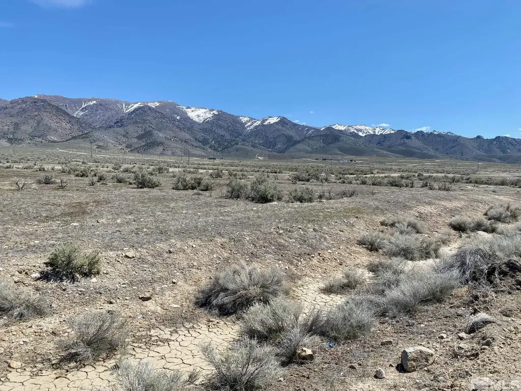22125 Victory Lovelock NV 89419