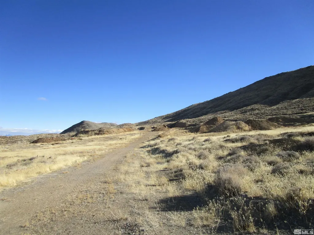 25590 Austin Fallon NV 89406