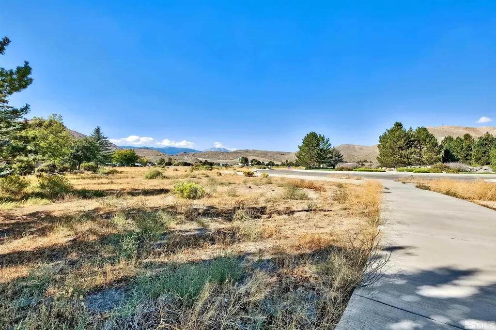 1103 Country Club Carson City NV 89703