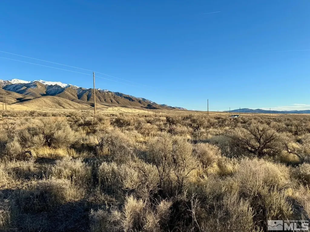 22025 Callaway Lovelock NV 89419