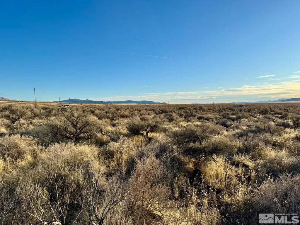 22025 Callaway Lovelock NV 89419
