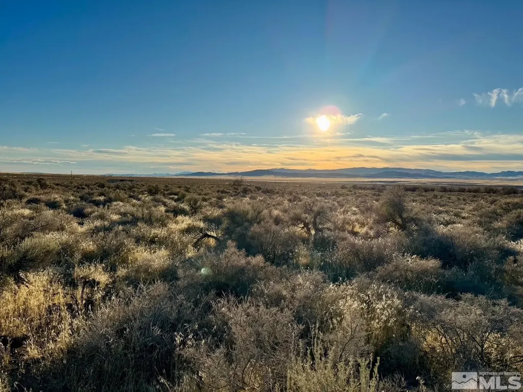 22025 Callaway Lovelock NV 89419