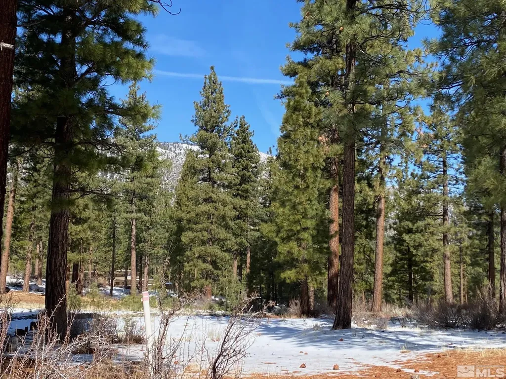 238 Redding Carson City NV 89705