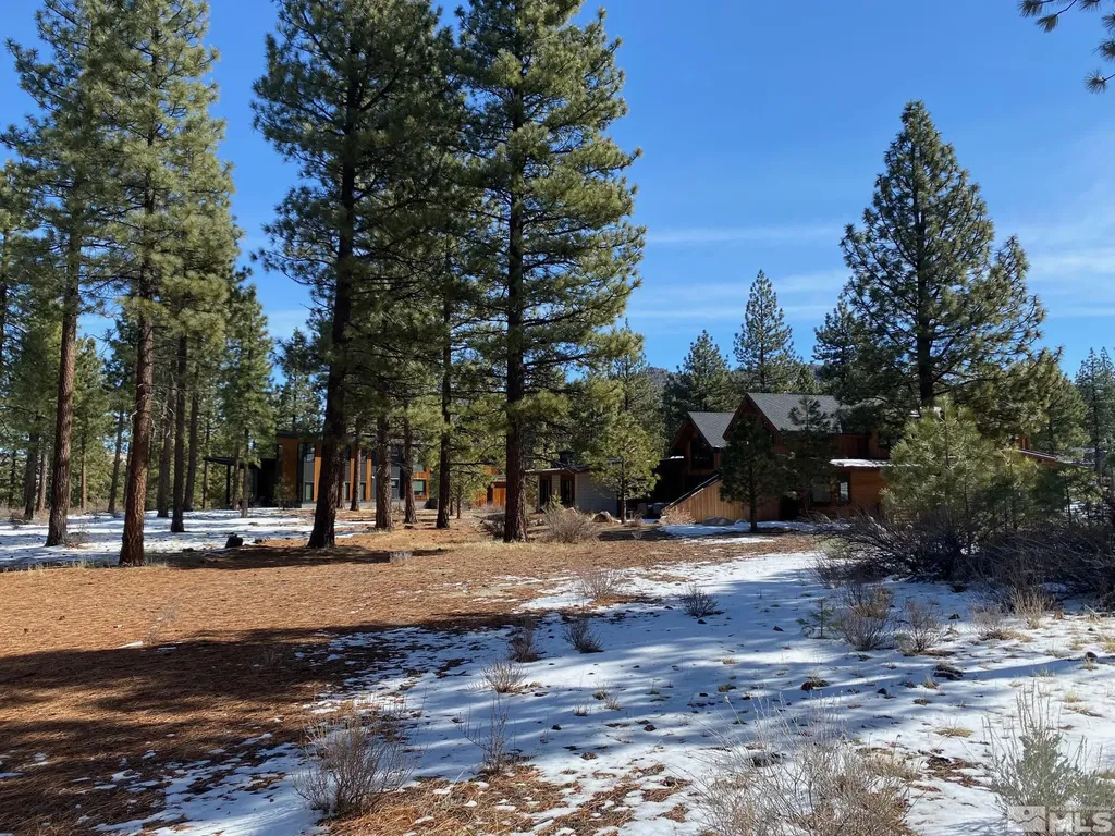 238 Redding Carson City NV 89705
