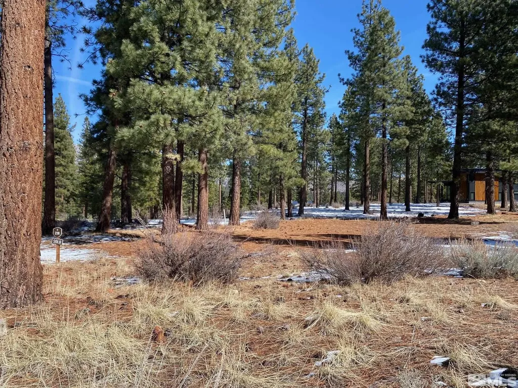 238 Redding Carson City NV 89705