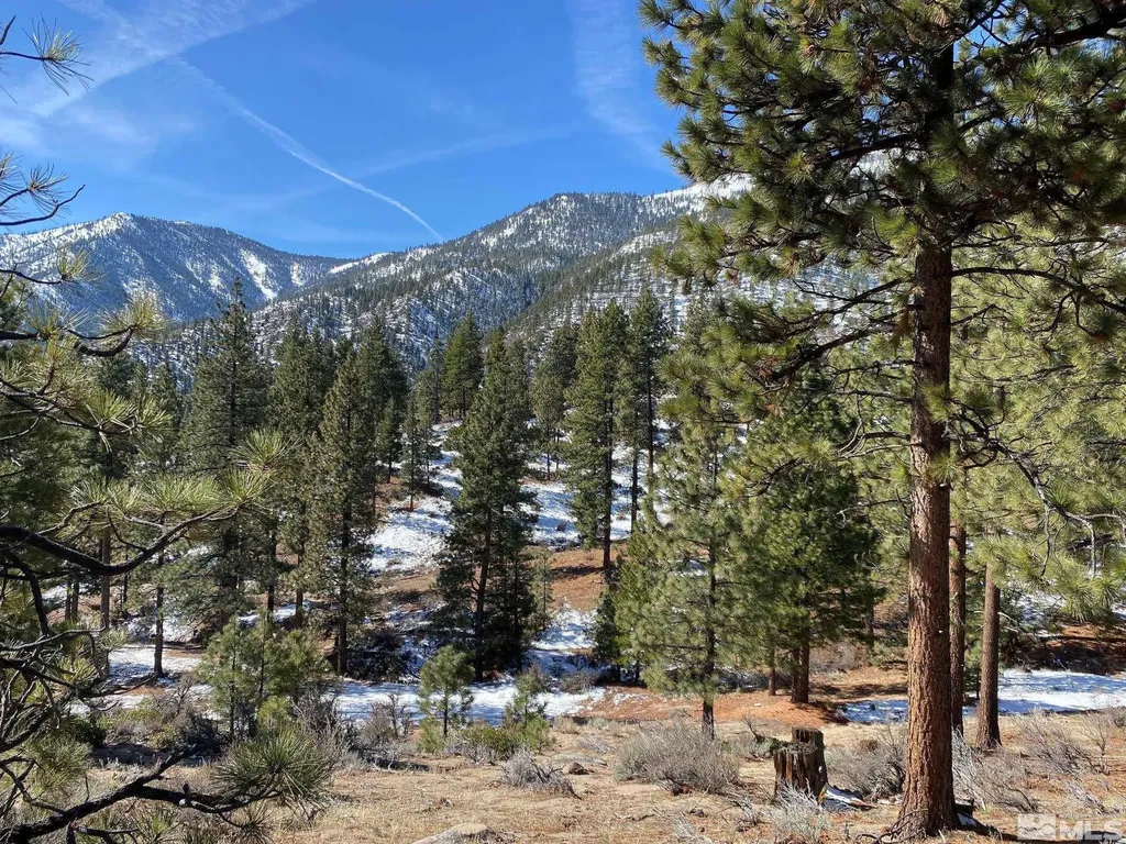 180 Scenic Range Carson City NV 89705