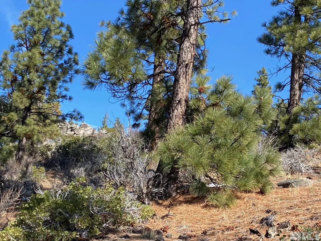 180 Scenic Range Carson City NV 89705
