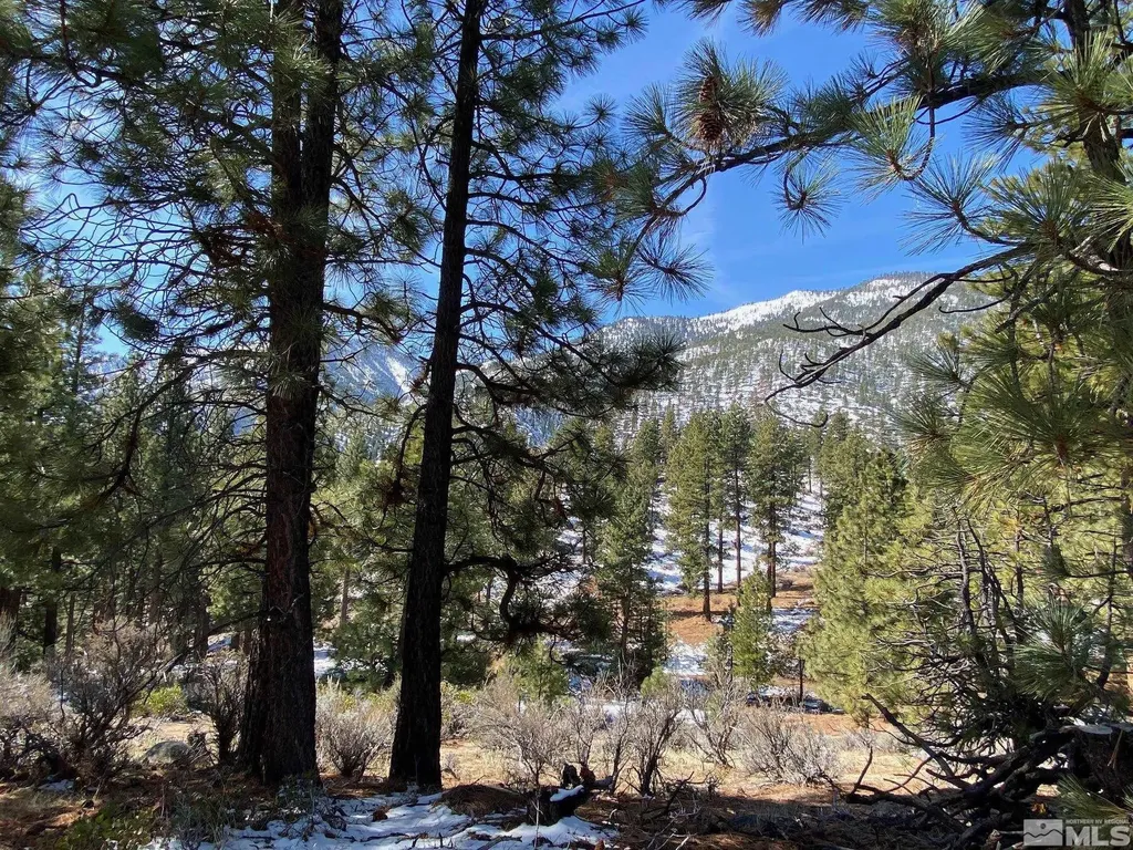 180 Scenic Range Carson City NV 89705