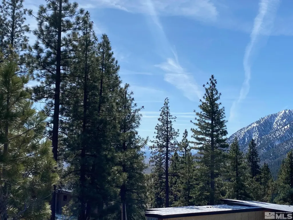 180 Scenic Range Carson City NV 89705