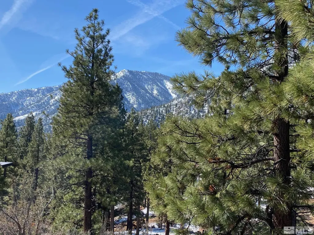 180 Scenic Range Carson City NV 89705
