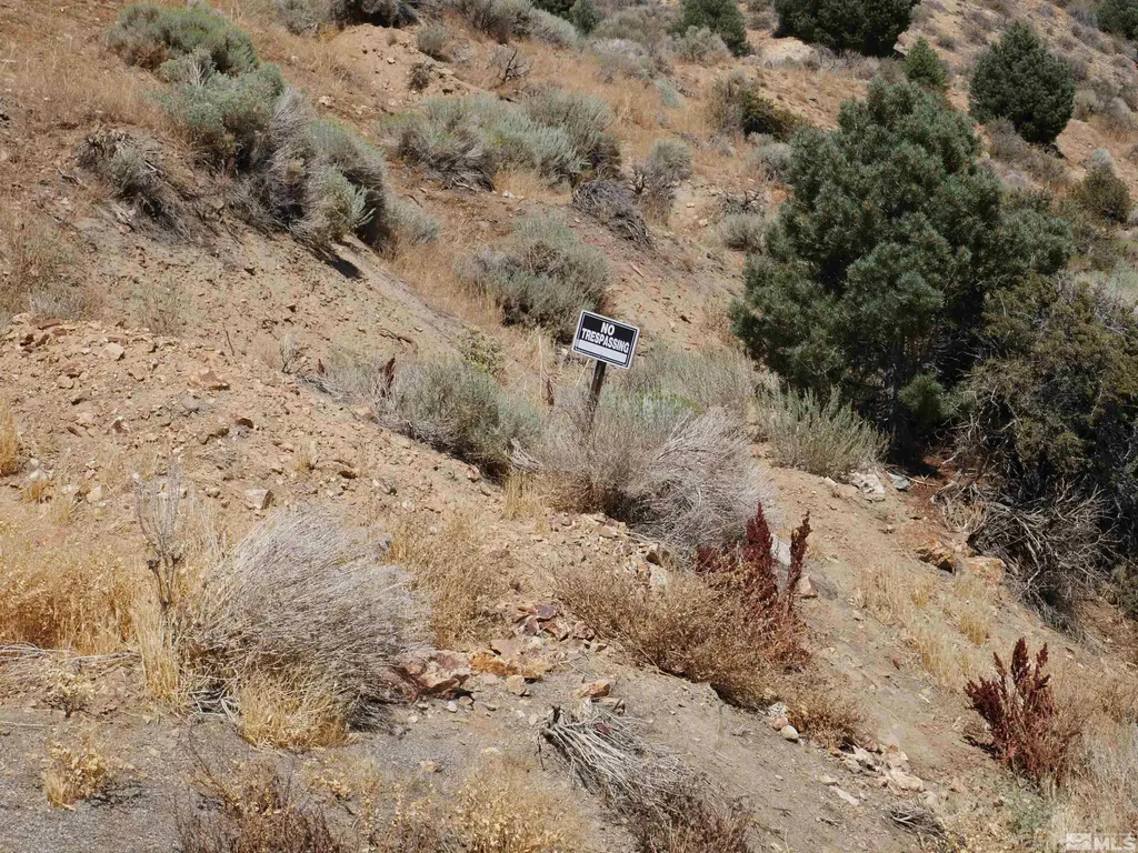 0 C St/hwy 341 Virginia City NV 89440