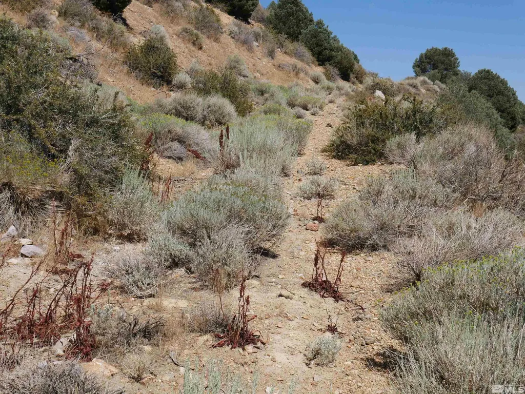 0 C St/hwy 341 Virginia City NV 89440