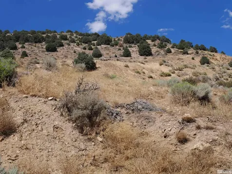 0 C St/hwy 341 Virginia City NV 89440