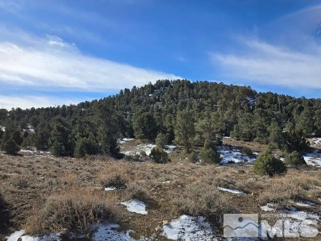 250 Vermillion Reno NV 89521