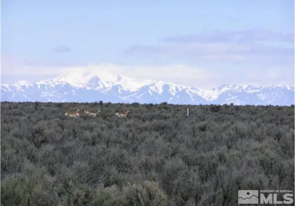 06068114 Near Dutch Winnemucca NV 89445