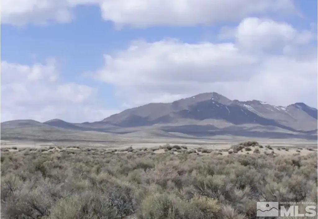 06068114 Near Dutch Winnemucca NV 89445