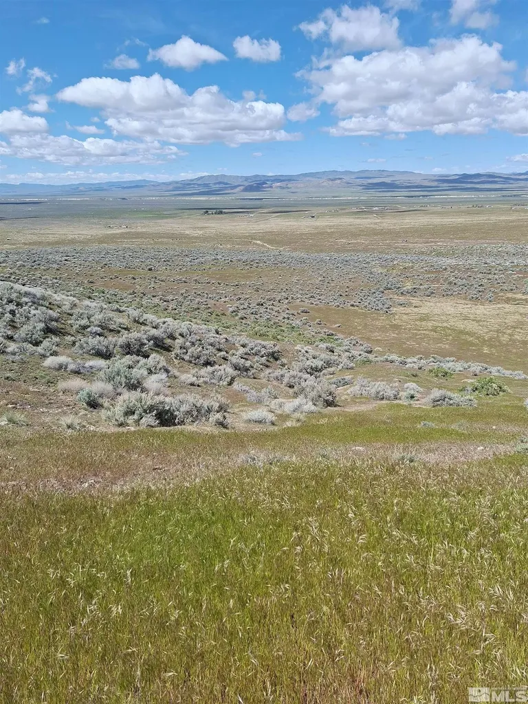 T29 Sec 15 Lovelock NV 89419