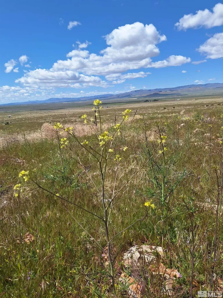 T29 Sec 15 Lovelock NV 89419