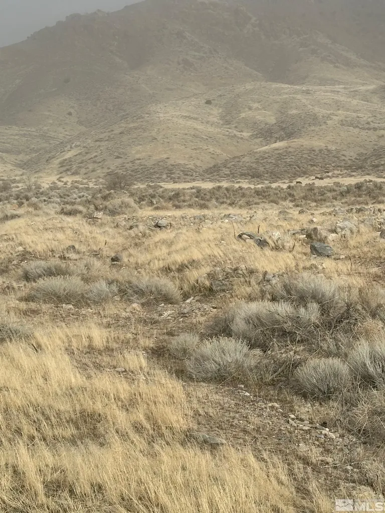 T29 Sec 15 Lovelock NV 89419