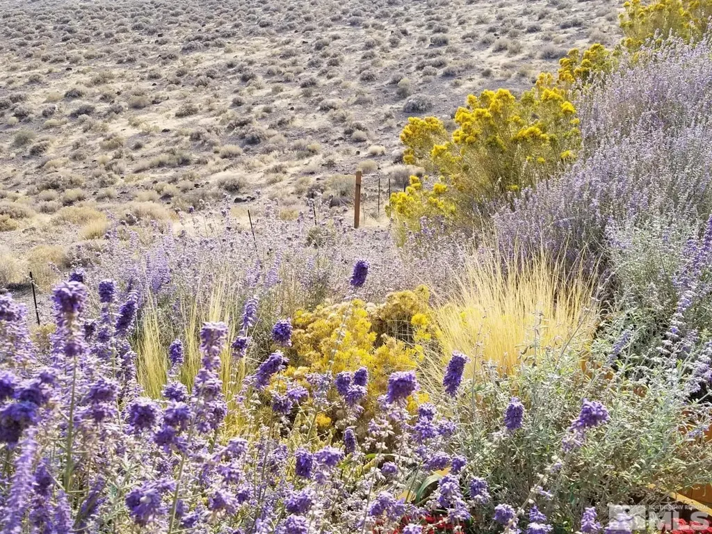 2330 Hillcrest Fernley NV 89408