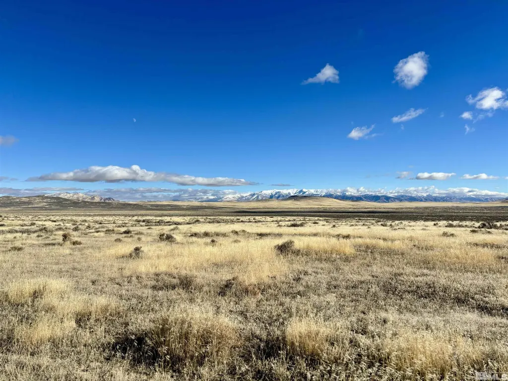 41.93 Acres Sierra Pass Winnemucca NV 89445