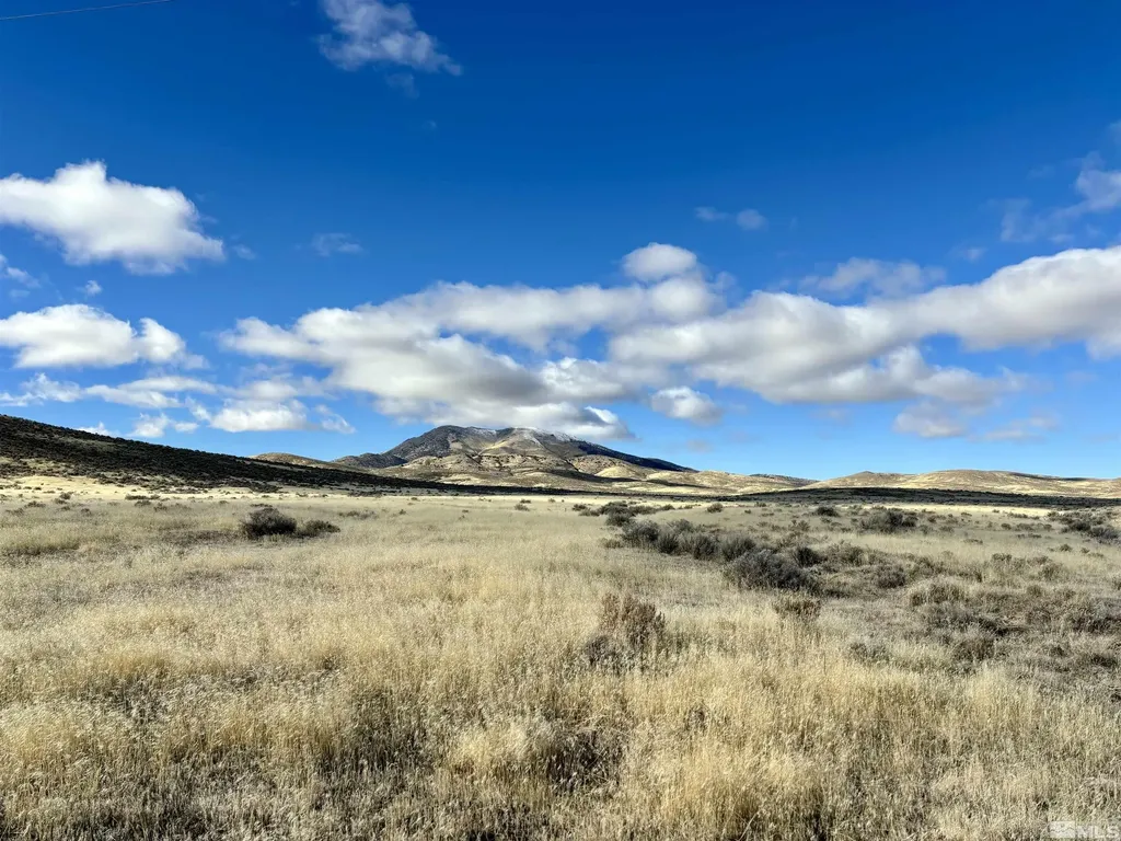 41.93 Acres Sierra Pass Winnemucca NV 89445