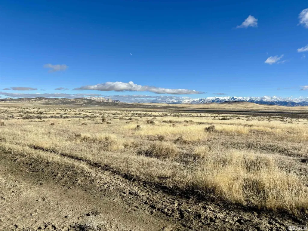41.93 Acres Sierra Pass Winnemucca NV 89445